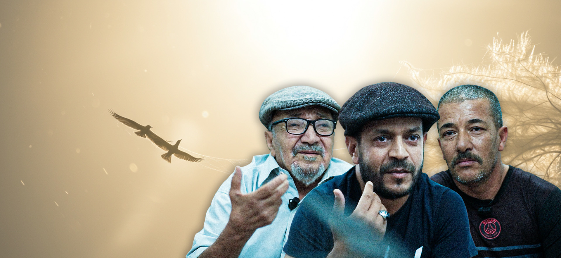 Slider Story Catcher